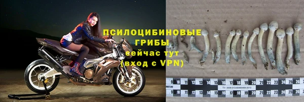 а пвп мука Абаза