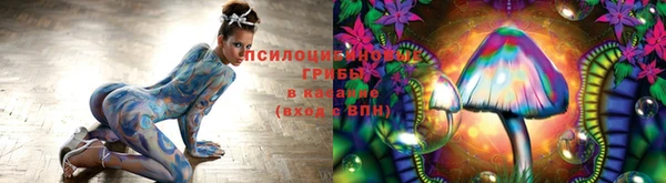 мескалин Сатка
