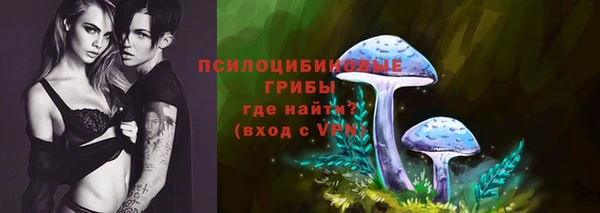 гашик Алзамай